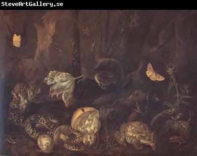 SCHRIECK, Otto Marseus van Still Life with Insects and Amphibians (mk14)